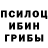 Галлюциногенные грибы MAGIC MUSHROOMS TheNecromancer