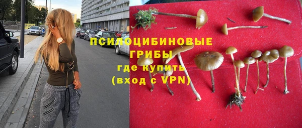 MESCALINE Инсар