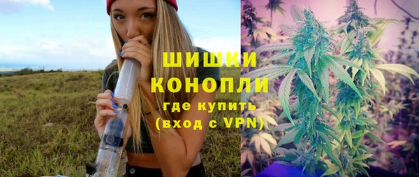 шишки Иннополис