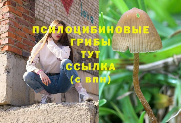 марихуана Инта