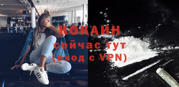 шишки Иннополис