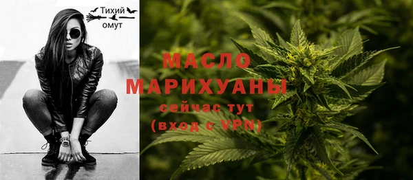 прущие крисы Каменка