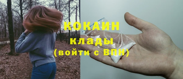 шишки Иннополис