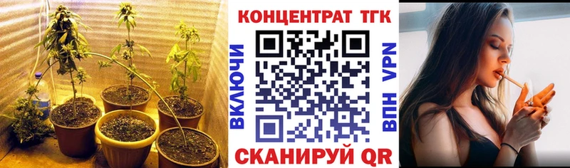 ТГК Wax  Кимовск 