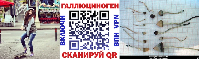 Псилоцибиновые грибы Magic Shrooms Кимовск