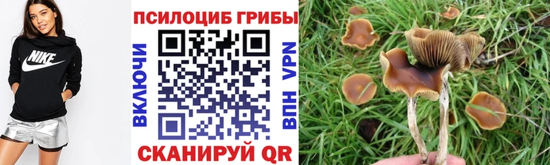 Псилоцибиновые грибы ЛСД  гидра зеркало  Кимовск 